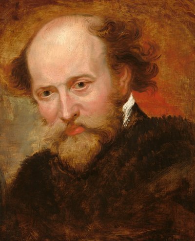 Peter Paul Rubens da Peter Paul Rubens