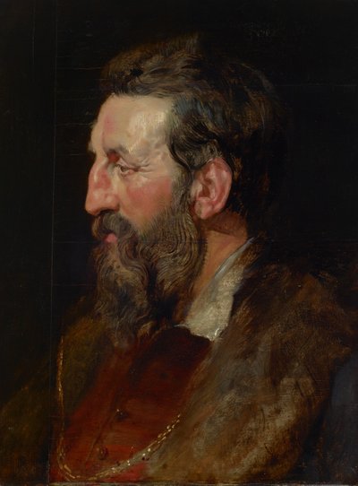 Ritratto di un Uomo, c.1615 da Peter Paul Rubens