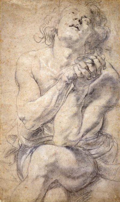 Giovane maschio seduto (Studio per Daniele) da Peter Paul Rubens