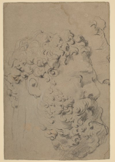 Studi della testa e del profilo dell