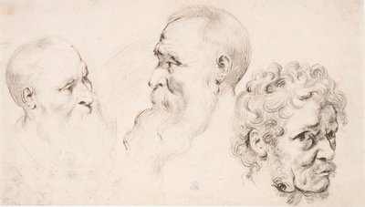  da Peter Paul Rubens