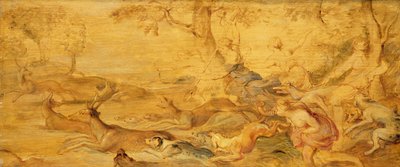 Immagine sconosciuta da Peter Paul Rubens