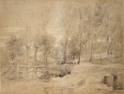 Scena boschiva da Peter Paul Rubens