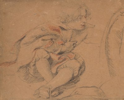 Giovane seduto da Peter Paul Rubens