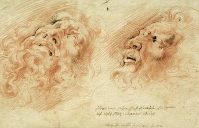 Due studi della testa del Laocoonte da Peter Paul Rubens