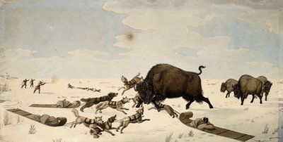Caccia al bufalo, c.1822-1824 da Peter Rindisbacher