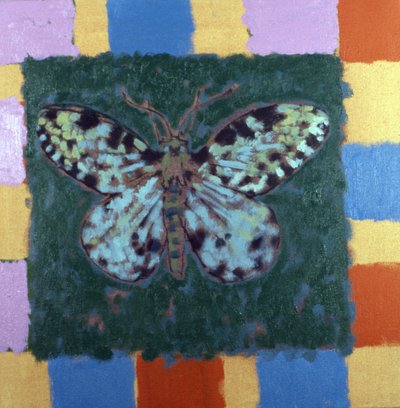 Falena leopardo da Peter Wilson