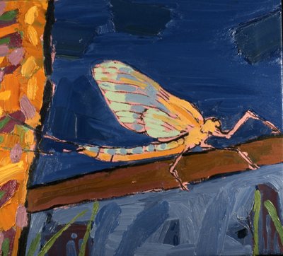 Vola a maggio da Peter Wilson