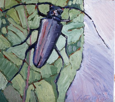 Scarabeo muschiato da Peter Wilson