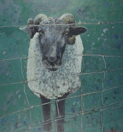 Pecore in attesa, 2000 (olio su tela) da Peter Wilson