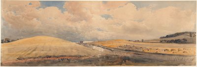Campi di grano presso la stazione di Tring, Hertfordshire da Peter de Wint