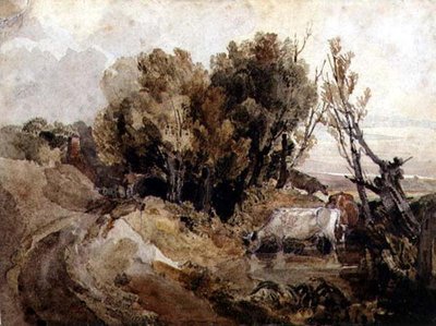 Il luogo di bevuta da Peter de Wint