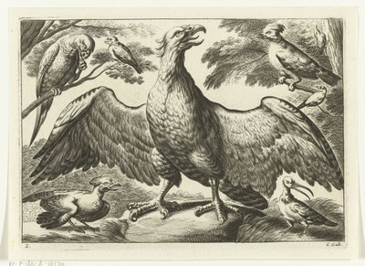 Aquila (Diversarum avium species) da Peter van Liesebetten
