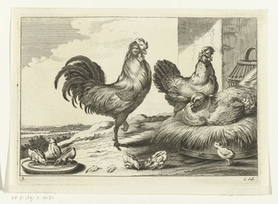 Gallina, galli e pulcini da Peter van Liesebetten