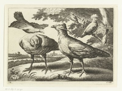 Oche e un cacatua da Peter van Liesebetten
