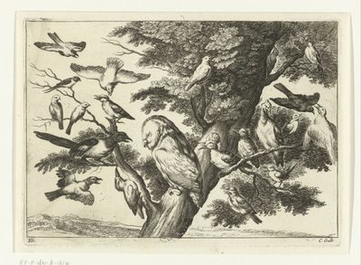 Uccelli su un albero da Peter van Liesebetten