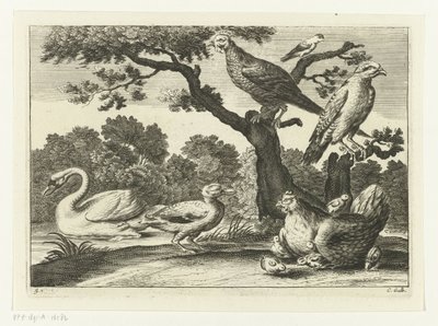 Cigno, gallina con pulcini e altri uccelli da Peter van Liesebetten