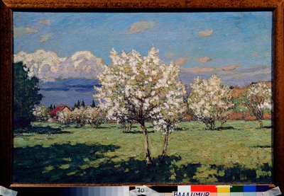 I ciliegi in fiore. Dipinto di Pyotr Ivanovich Petrovichev (1874-1947), olio su tela da Petr Ivanovic Petrovichev