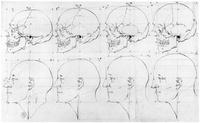 Transizione dalla scimmia ad Apollo, illustrazione da 