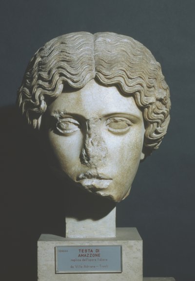 Testa di Amazzone da Phidias Phidias