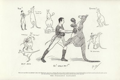 Il canguro pugilistico da Phil May