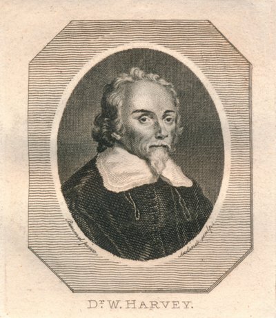 Dott. W. Harvey, c. 1800 da Philip Audinet