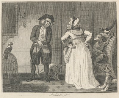La Bisbetica e il Pappagallo da Philip Audinet