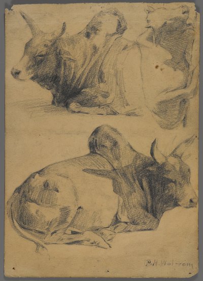 Tori Brahman da Philip H. Wolfrom