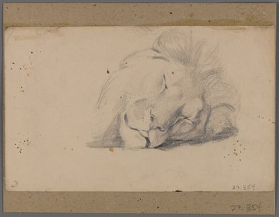 Testa di un leone addormentato da Philip H. Wolfrom
