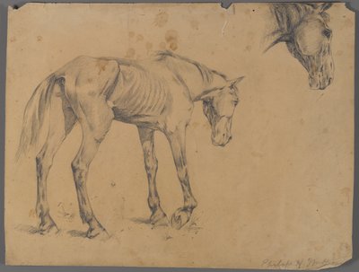 Cavallo e testa di cavallo da Philip H. Wolfrom