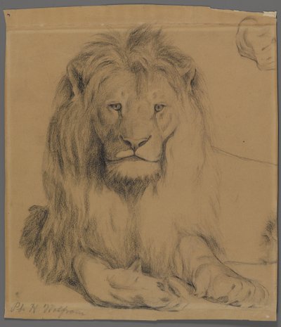 Leone da Philip H. Wolfrom