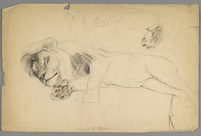 Leone dormiente da Philip H. Wolfrom