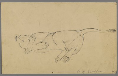 Leonessa dormiente da Philip H. Wolfrom