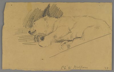 Orso polare dormiente da Philip H. Wolfrom