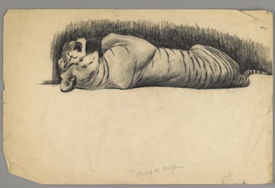 Tigre dormiente da Philip H. Wolfrom