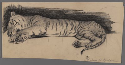 Tigre dormiente da Philip H. Wolfrom