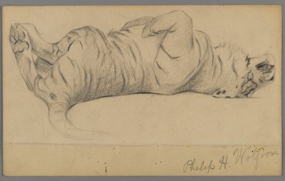 Tigre che dorme da Philip H. Wolfrom