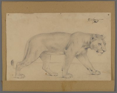 Leonessa in cammino da Philip H. Wolfrom