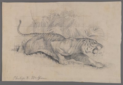 Tigre nel paesaggio da Philip H. Wolfrom