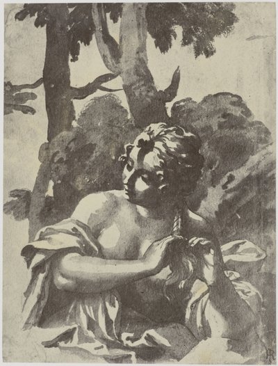 Ragazza che si intreccia i capelli da Philip Henry Delamotte