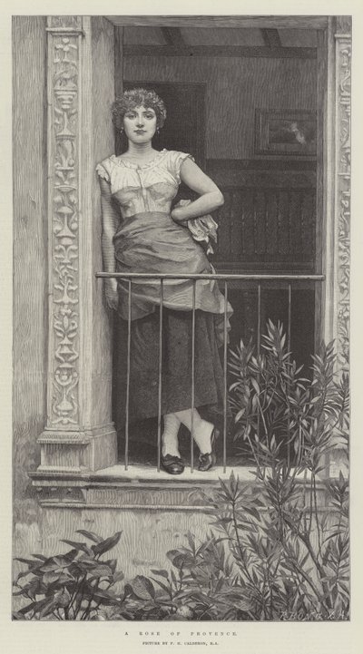 Una rosa di Provenza da Philip Hermogenes Calderon