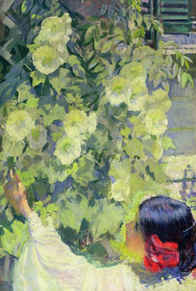 Agrifogli, 1923 circa (olio su tela) da Philip Leslie Hale