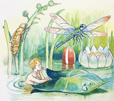 Libellula, illustrazione da "I bambini dell