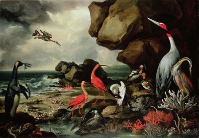 Un pinguino, una coppia di fenicotteri e altri uccelli esotici, conchiglie e coralli sulla riva da Philip Reinagle