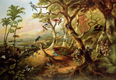 Uccelli esotici e insetti tra alberi e fogliame in un paesaggio fluviale montuoso da Philip Reinagle