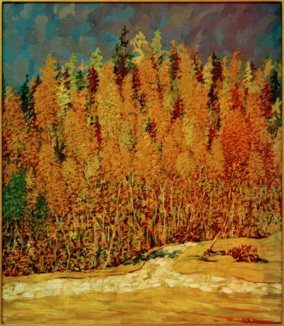 Bosco autunnale da Philipp Bauknecht