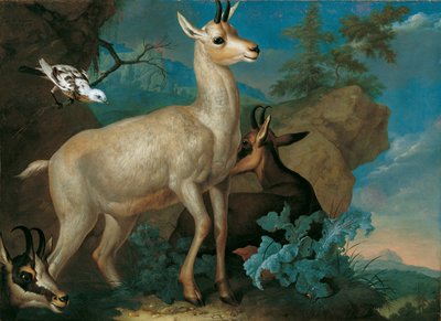 Tre camosci e un merlo da Philipp Ferdinand de Hamilton