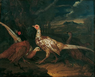 Fagiani da Philipp Ferdinand de Hamilton