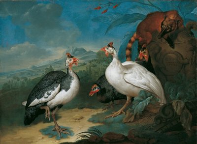 Faraone e coati da Philipp Ferdinand de Hamilton