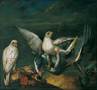 Falchi bianchi con un airone da Philipp Ferdinand de Hamilton